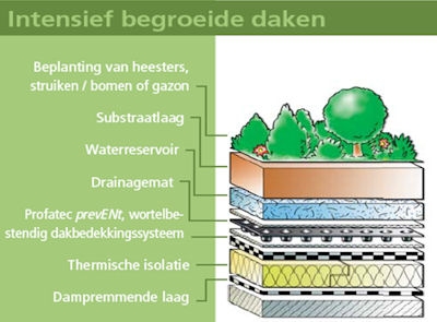 groen dak
